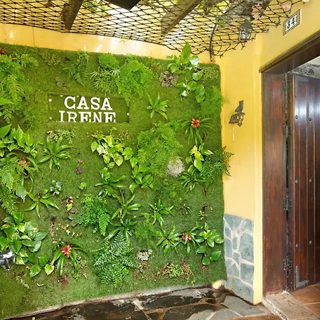 Casa Irene * Teror
