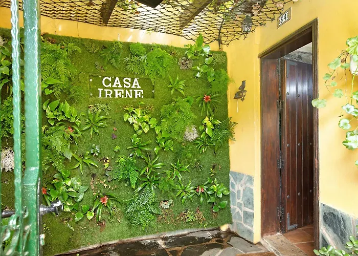 Casa Irene 테로르
